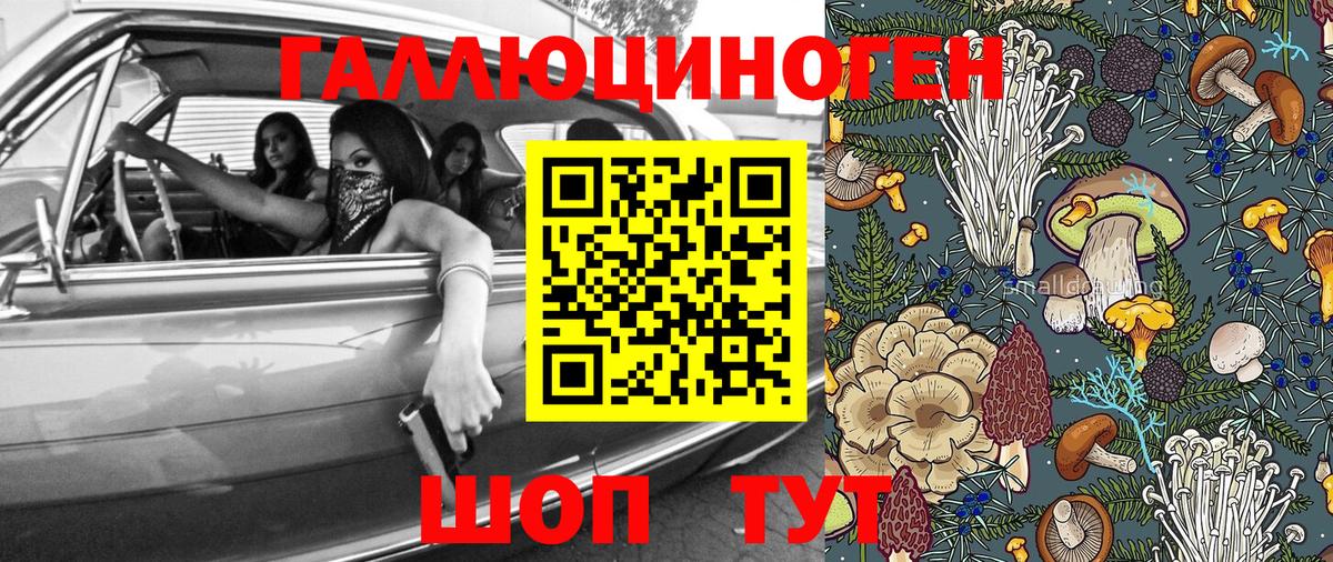 Галлюциногенные грибы GOLDEN TEACHER  что такое наркотик  Геленджик 