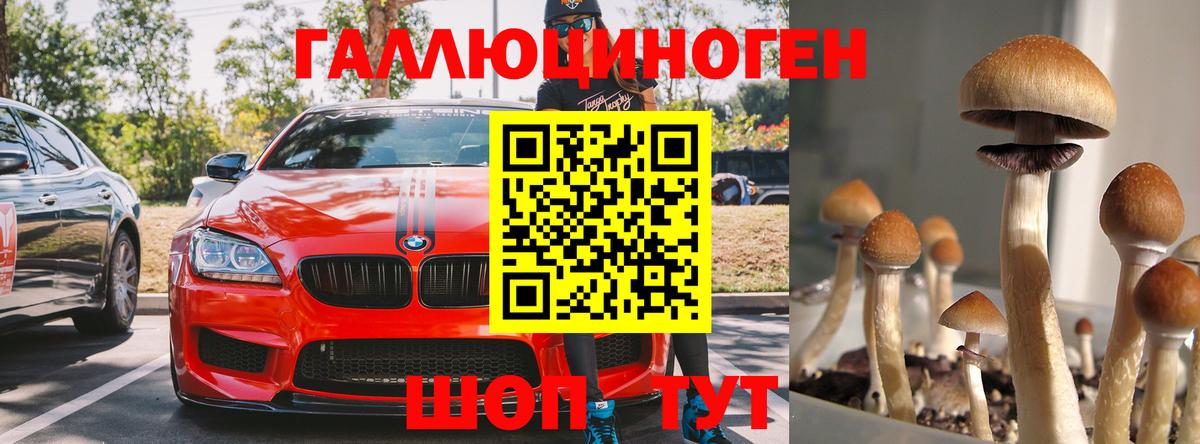 Геленджик  Псилоцибиновые грибы Magic Shrooms  Вход с VPN 