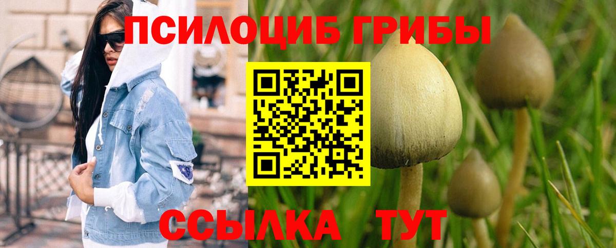 Галлюциногенные грибы мухоморы Геленджик